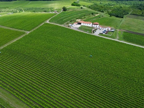 Közgyűlés és borverseny a szilágysági Kémeren