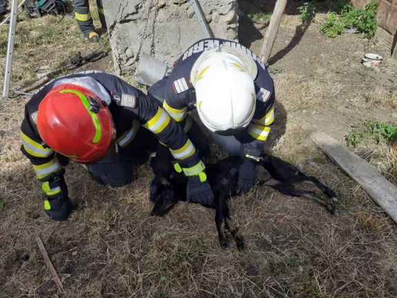 Mély kútból mentettek ki egy kutyát a tűzoltók