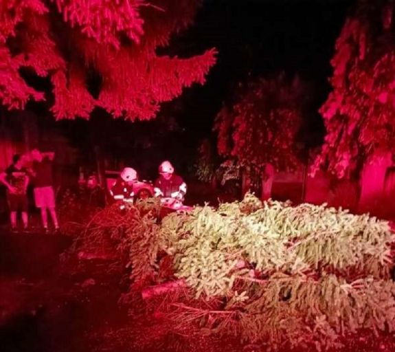Kánikula és viharok: 40 Celsius-fok a fővárosban és nyolc megyében – fákat döntött ki a vihar, akadozott a közlekedés, az áramellátás