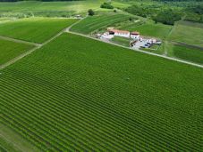 Közgyűlés és borverseny a szilágysági Kémeren