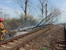 Leállt a vasúti forgalom Maroshévíz és Palotailva között a kidőlt fák miatt