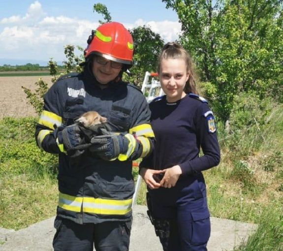 Kíváncsi rókakölyköt mentettek a tűzoltók