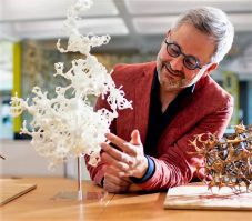 Tagjai közé választotta Barabási Albert Lászlót az amerikai Nemzeti Tudományos Akadémia 