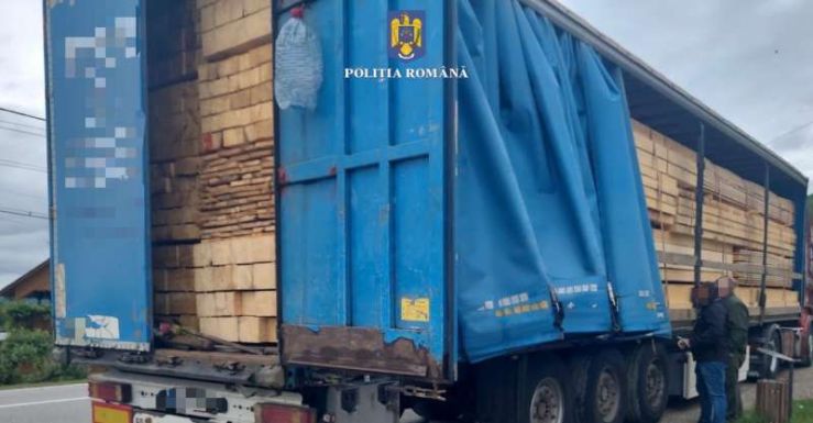 Óriási értékű és mennyiségű faanyagot foglalt le a rendőrség Szilágy megyében