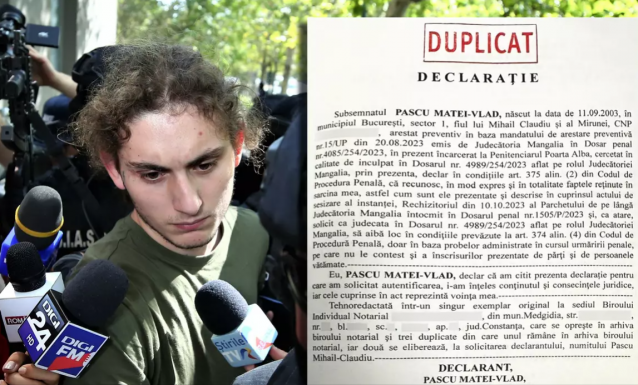 A gázoló mindent elismert, csak hogy csökkenjen a reá kiszabható büntetés