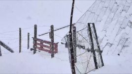 Májusi tél a Bucsecs-fennsíkon (VIDEÓ)