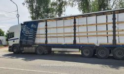 Közel 500 ezer doboz csempészett cigarettát találtak a kamionban