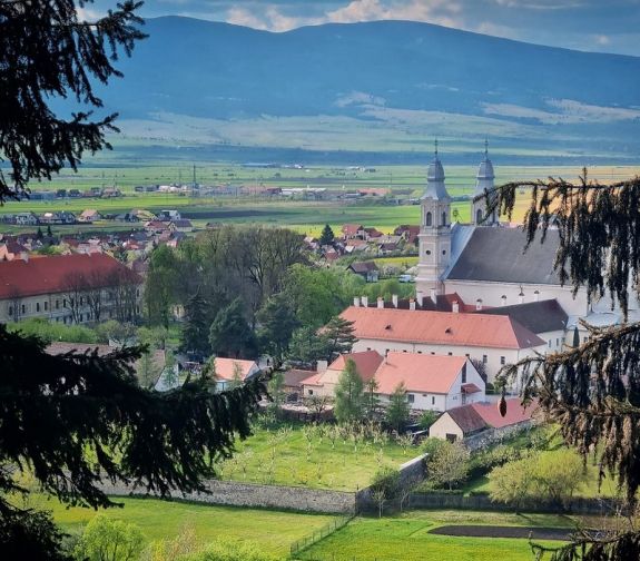 Kétbocsos anyamedvét űztek el a csíksomlyói búcsú helyszínéről