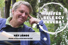Mi fér bele egy kávéba? Háy János íróval beszélgetünk szombaton a Maszol YouTube-csatornáján