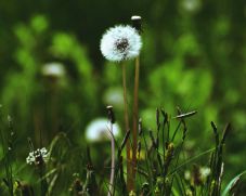 Előrejelzés: júniusig még ne számítsunk nagy melegekre