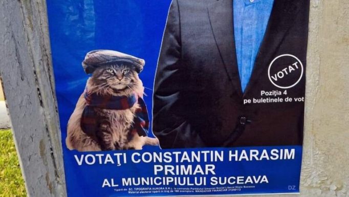 A választási kampány poénja: macskájával pózol egy jelölt a plakáton – „Oscar és én győzni fogunk”