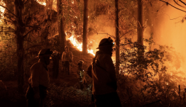 Egy tűzoltó és egy erdész szándékosan okozta a chilei erdőtüzet, amelyben legalább 137-en meghaltak 