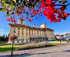 A szomszéd tündérkertje