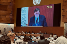 Nincs konszenzus „járványügyben”