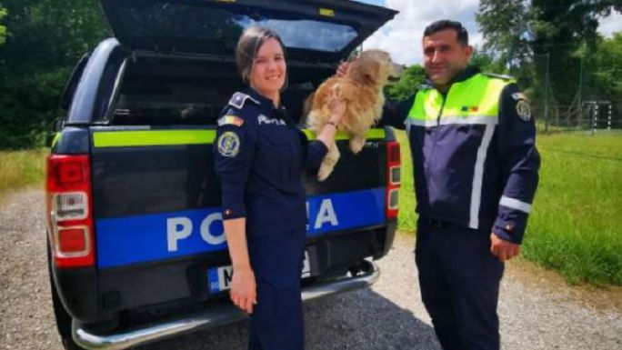Két év után véletlenül találták meg az elveszett kutyust