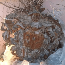 Az Olx-en árulják Nagyvárad 1913-ból fennmaradt címerét