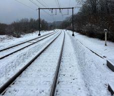 Fák dőltek a vasúti pályára – Több helyen szünetel a forgalom