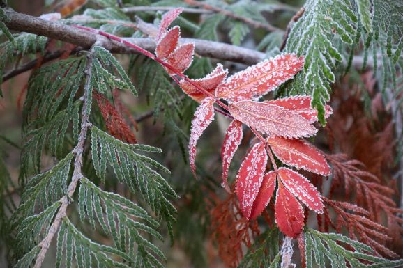 Mínusz 13,4 Celsius-fok volt Gyergyóalfaluban