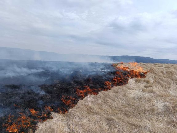 Kigyulladt a száraz növényzet Maroshévíz közelében