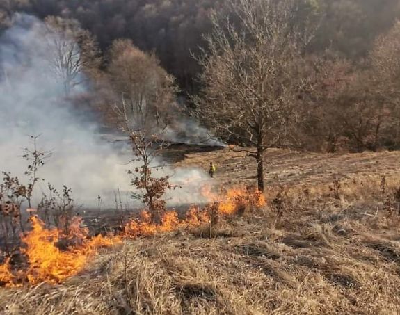 Tűz: 24 hektáron lángol az erdő