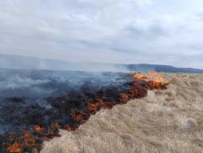 Kigyulladt a száraz növényzet Maroshévíz közelében