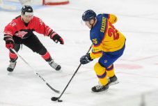 Jégkorong-vb: kikaptak Részeghék a japánoktól a főpróbán