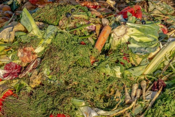 Food Savers – Csökkentenék az élelmiszer-hulladék mennyiségét Hargita megyében