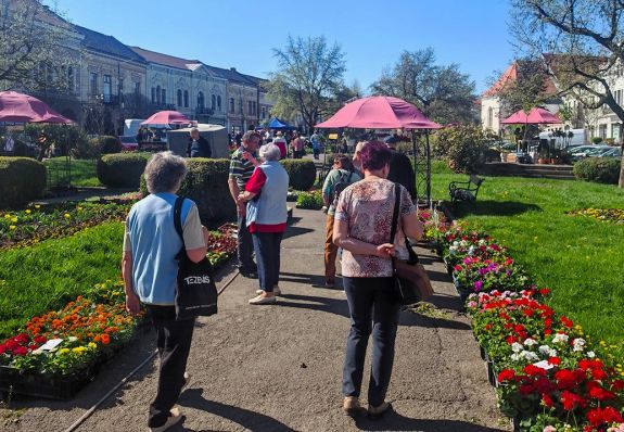 Pénteken még nyitva tart a kézdivásárhelyi virágvásár