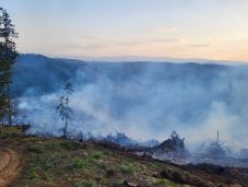 Négy hektáron égett a száraz aljnövényzet Balánbányán – nehéz volt az oltás (VIDEÓ)