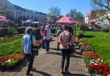 Pénteken még nyitva tart a kézdivásárhelyi virágvásár