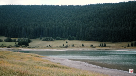Egy medvétől ijedhetett meg a szépvízi víztározóba fulladt lány