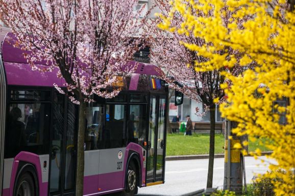 Megtalálták a fiatalt nőt zaklató férfit Kolozsváron – azt állította, hogy Elon Musknak dolgozik