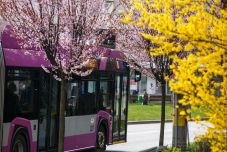 Megtalálták a fiatalt nőt zaklató férfit Kolozsváron – azt állította, hogy Elon Musknak dolgozik