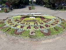 Több mint tízezer növény díszíti idén a marosvásárhelyi virágórát