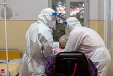 Honnan indulhatott ki a koronavírus-járvány?