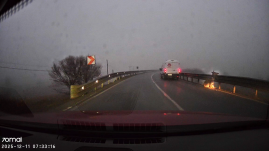 Elgázolták a Csíkszereda környékén élő szelíd szarvastehenet (VIDEÓ)