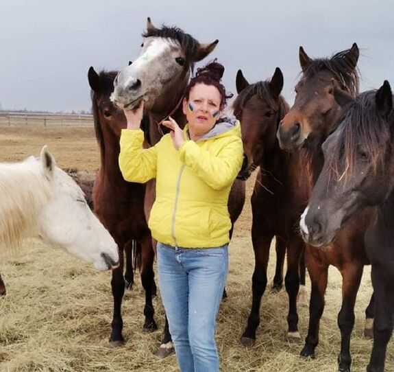 Drámai helyzet a menhelyen: több száz lovat fenyeget az éhhalál