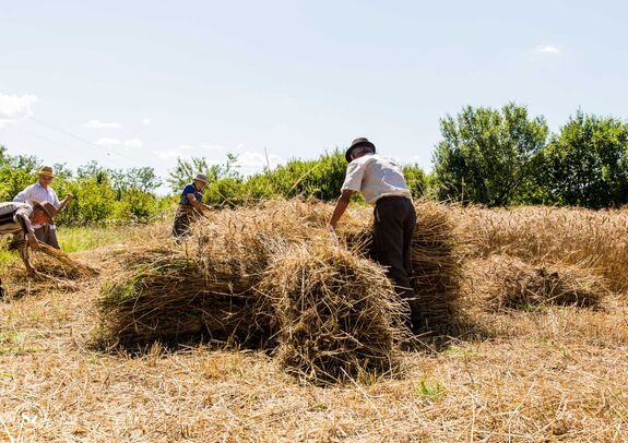 Maszol: ezek voltak a legérdekesebb erdélyi hírek 2025-ben