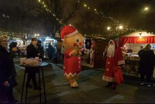 „Porba tiporták egy ember méltóságát” – a parlament elé tárták a nagykárolyi magyarellenes provokációt