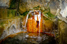 Dr. Máthé István: újra nem iható a szejkei borvíz