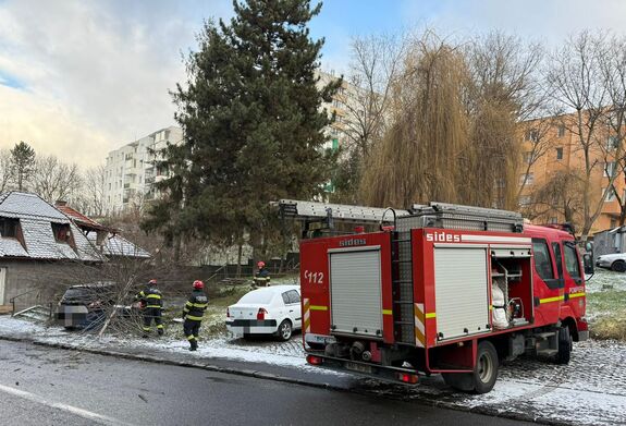 Tombol a szél Marosvásárhelyen: autóra és úttestre dőltek fák