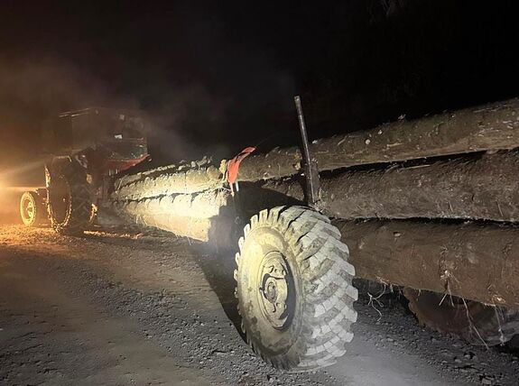 Fatolvajok buktak le Parajdon