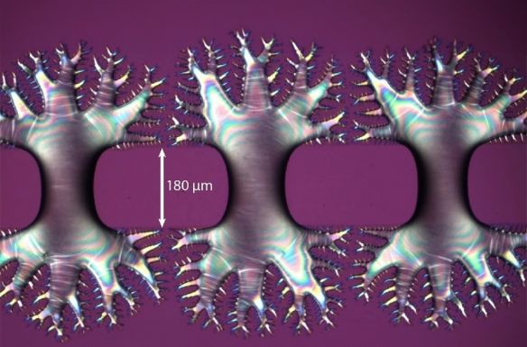 Új anyagállapotot fedeztek fel magyar kutatók