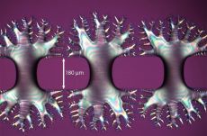 Új anyagállapotot fedeztek fel magyar kutatók