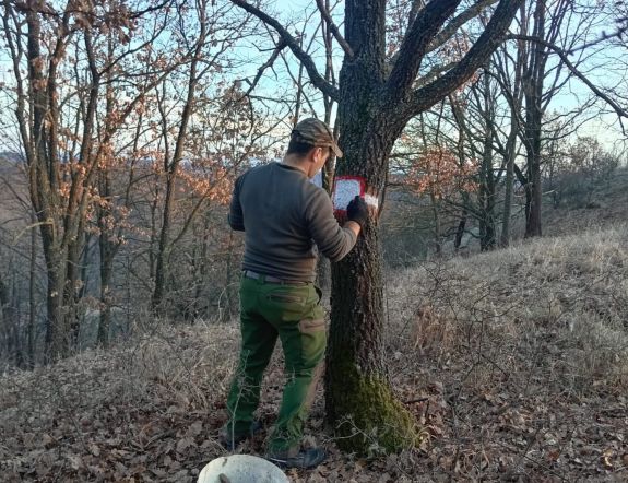 Tüntetnek az állami erdészet alkalmazottai, mert „lejárató hadjáratot” folytat ellenük a miniszter