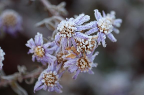 Fagyos Székelyföld – Csíkszeredában volt a leghidegebb a csütörtök reggel