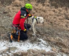 Hegyimentők hozták le a sziklán rekedt kutyát