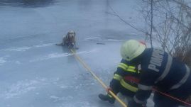 Megható: a jeges folyóból mentettek ki egy kutyát a tűzoltók