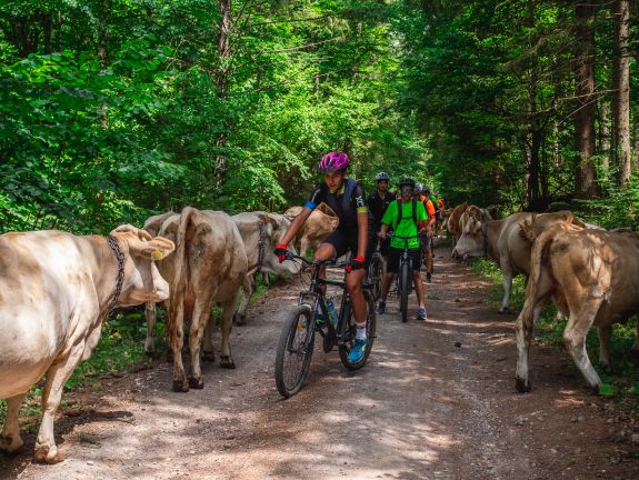 Olcsón kínál felejthetetlen élményt a Székelyföldi Bringás Vándortábor