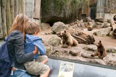 Közeleg a tavasz? A medvék „jósoltak”